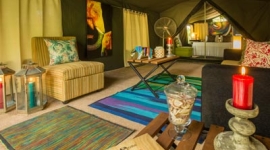 Tented safari camping experience with Sri Lanka Day Tours