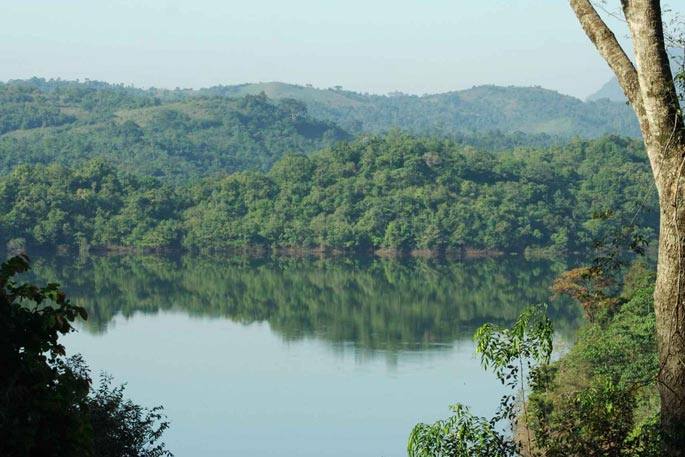 peaceful outdoor scene with a beautiful lake surrounded by trees sri lanka day tours