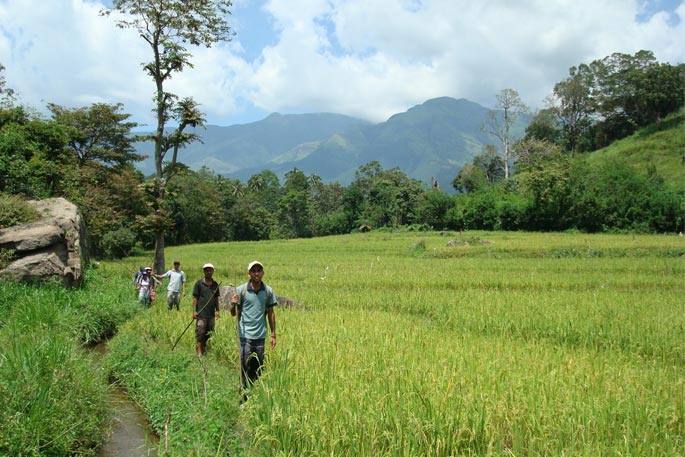 people walking in grassy fields with beautiful landscape belihuloya sri lanka day tours