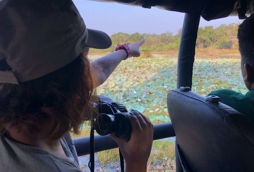 A Wilpattu safari guest is pointing at a bird