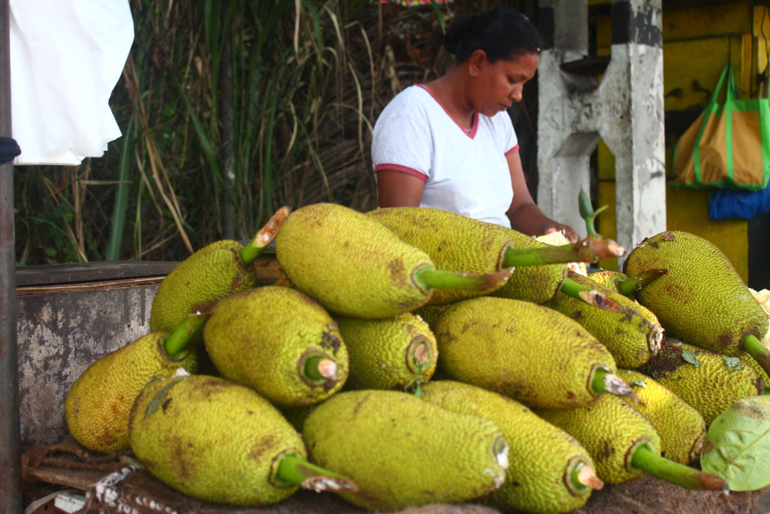 A lady is cutting jack fruits for selling