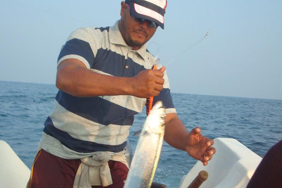 fishing-negombo7